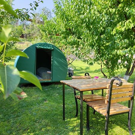 Nataly Campsite Yeghegnadzor Extérieur photo
