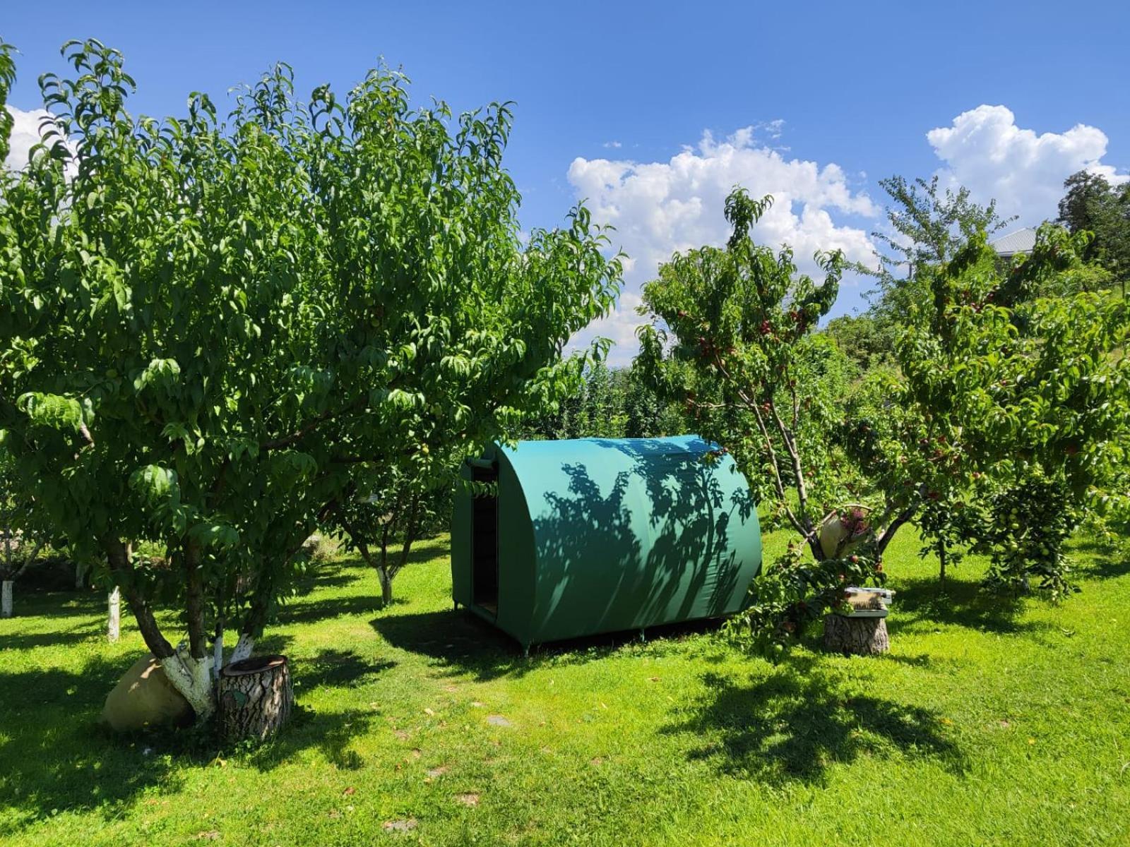 Nataly Campsite Yeghegnadzor Extérieur photo