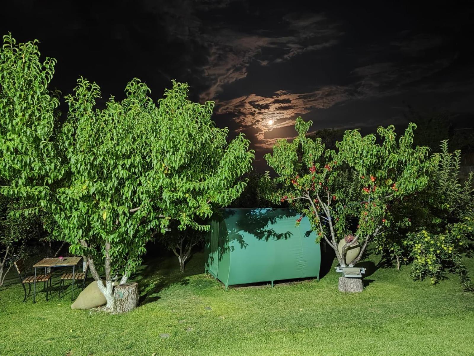 Nataly Campsite Yeghegnadzor Extérieur photo